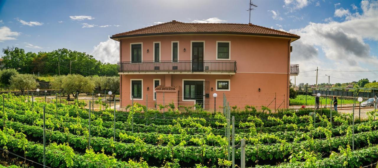 Bee Happy - Bed And Breakfast Zafferana Etnea Exterior photo